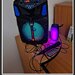 Boxa portabila bluetooth + o boxa mica,